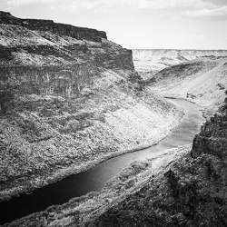 Billy Newman Photo Portfolio